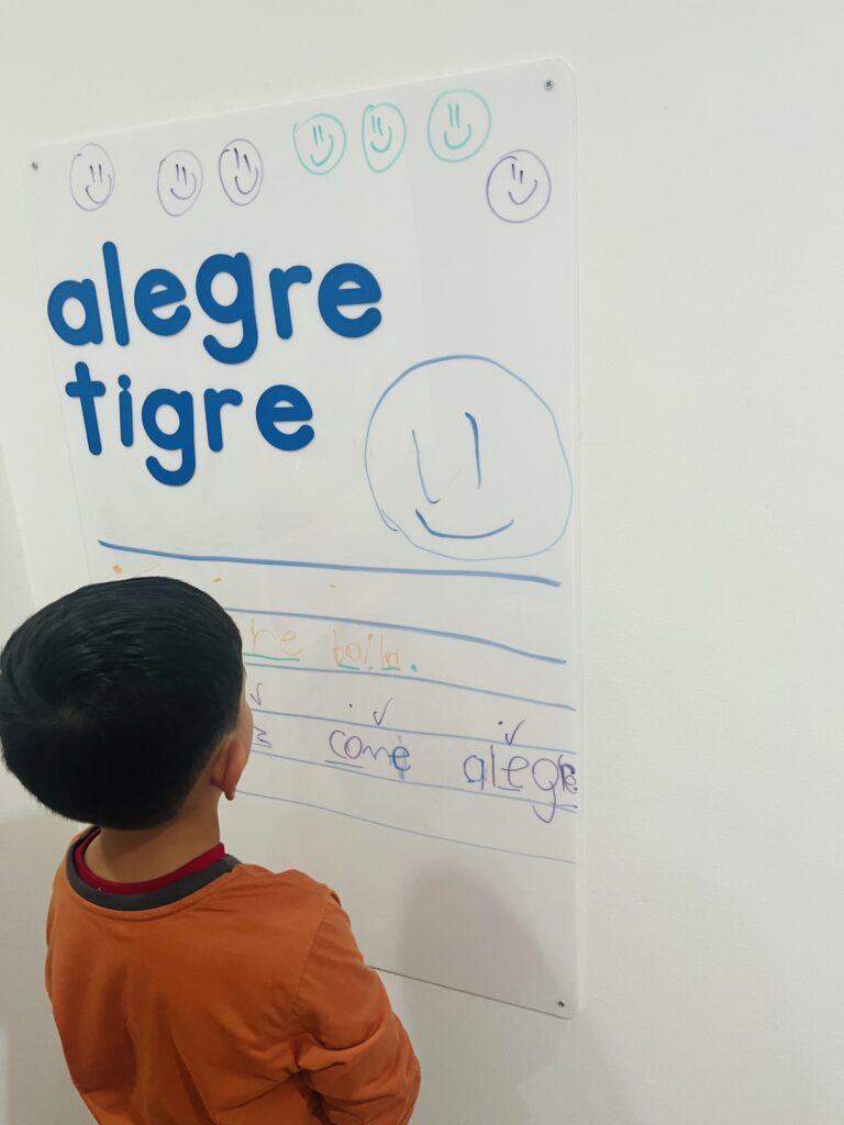Dificultades de lectura